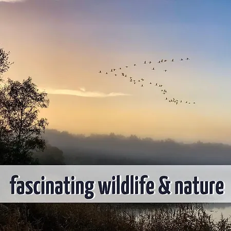 Wiesengefluester E3 - Familienfreundlich Nur 3 Minuten Zum 度假居